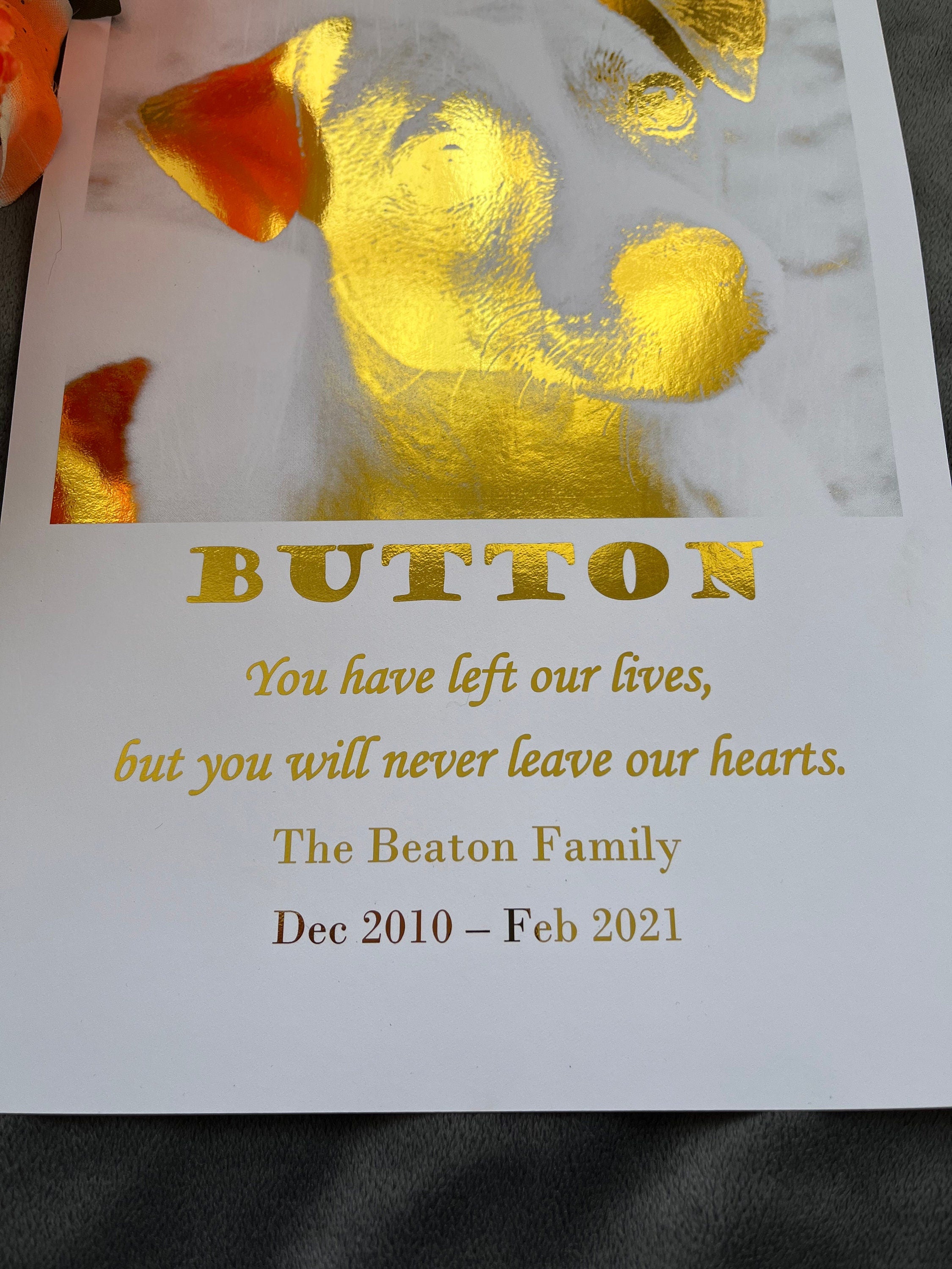 A beautiful Loss of a Pet Foil Print featuring gold foil design and personalized remembrance words, showcasing a cherished pet photo.