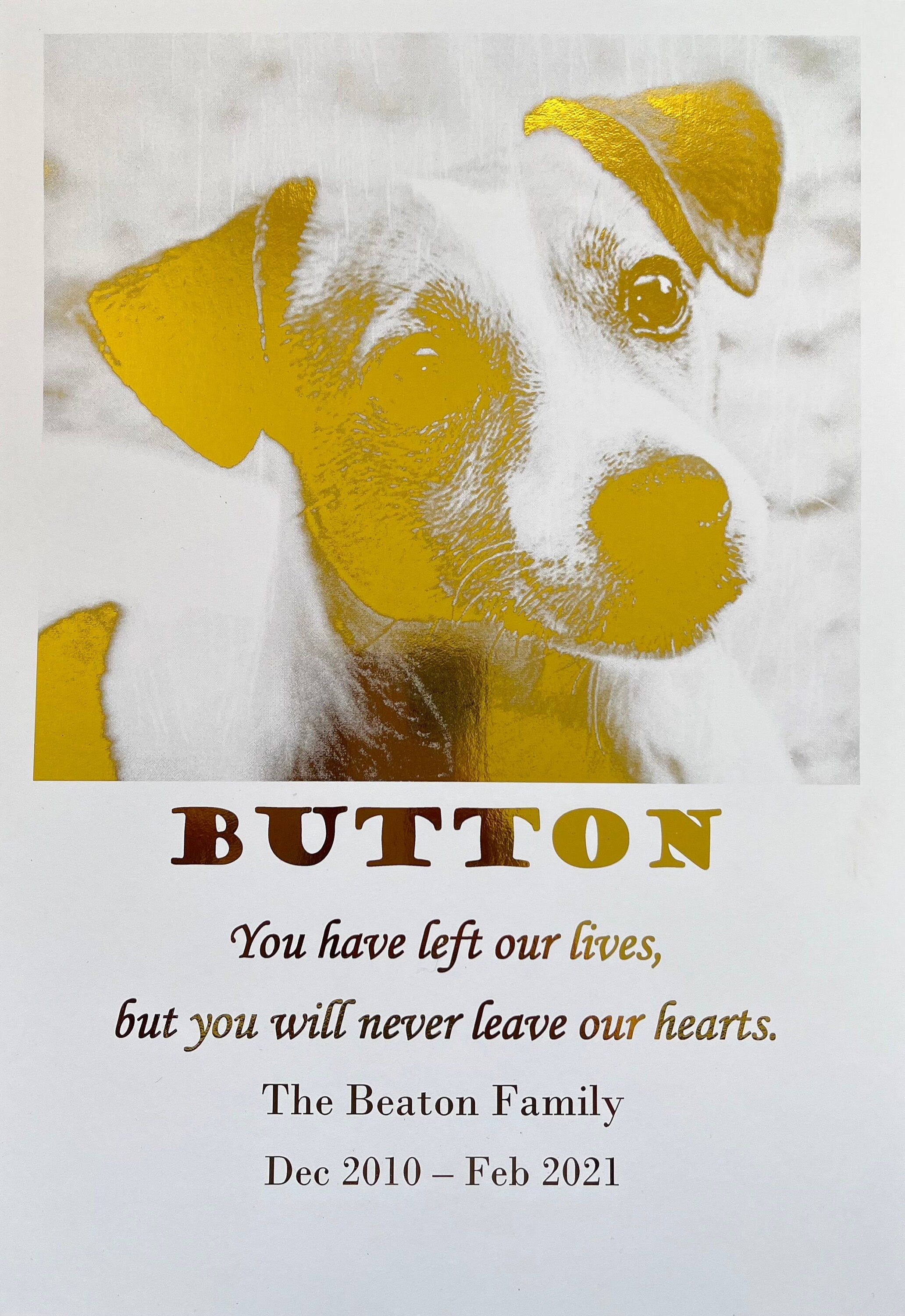 A beautiful Loss of a Pet Foil Print featuring gold foil design and personalized remembrance words, showcasing a cherished pet photo.