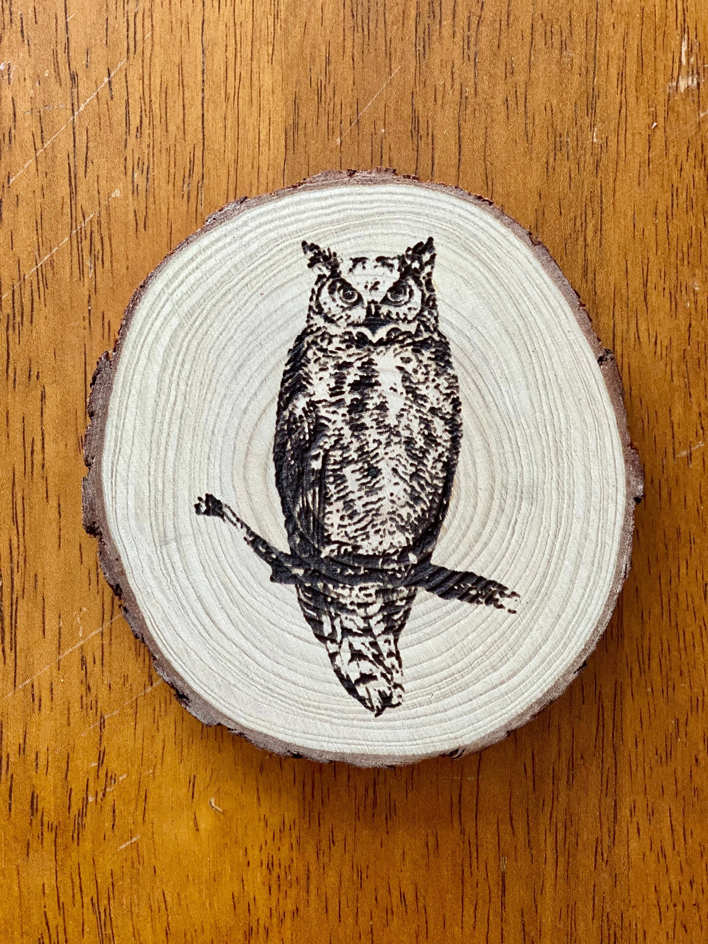 A set of four laser engraved wood coasters featuring intricate owl designs, showcasing their natural wood finish and unique craftsmanship.