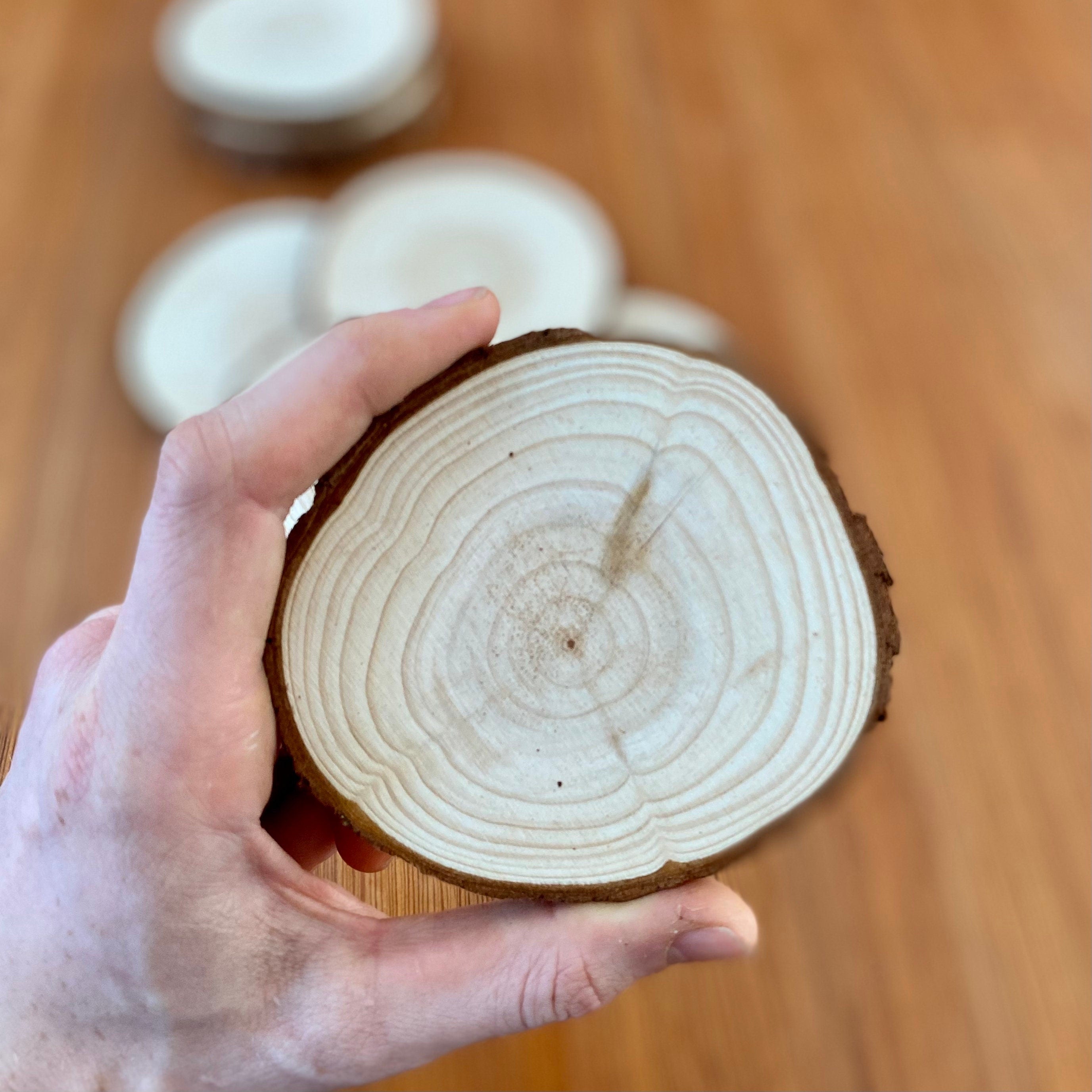 A set of rustic wood slice coasters made from Californian Pine, showcasing their natural grain and smooth finish.