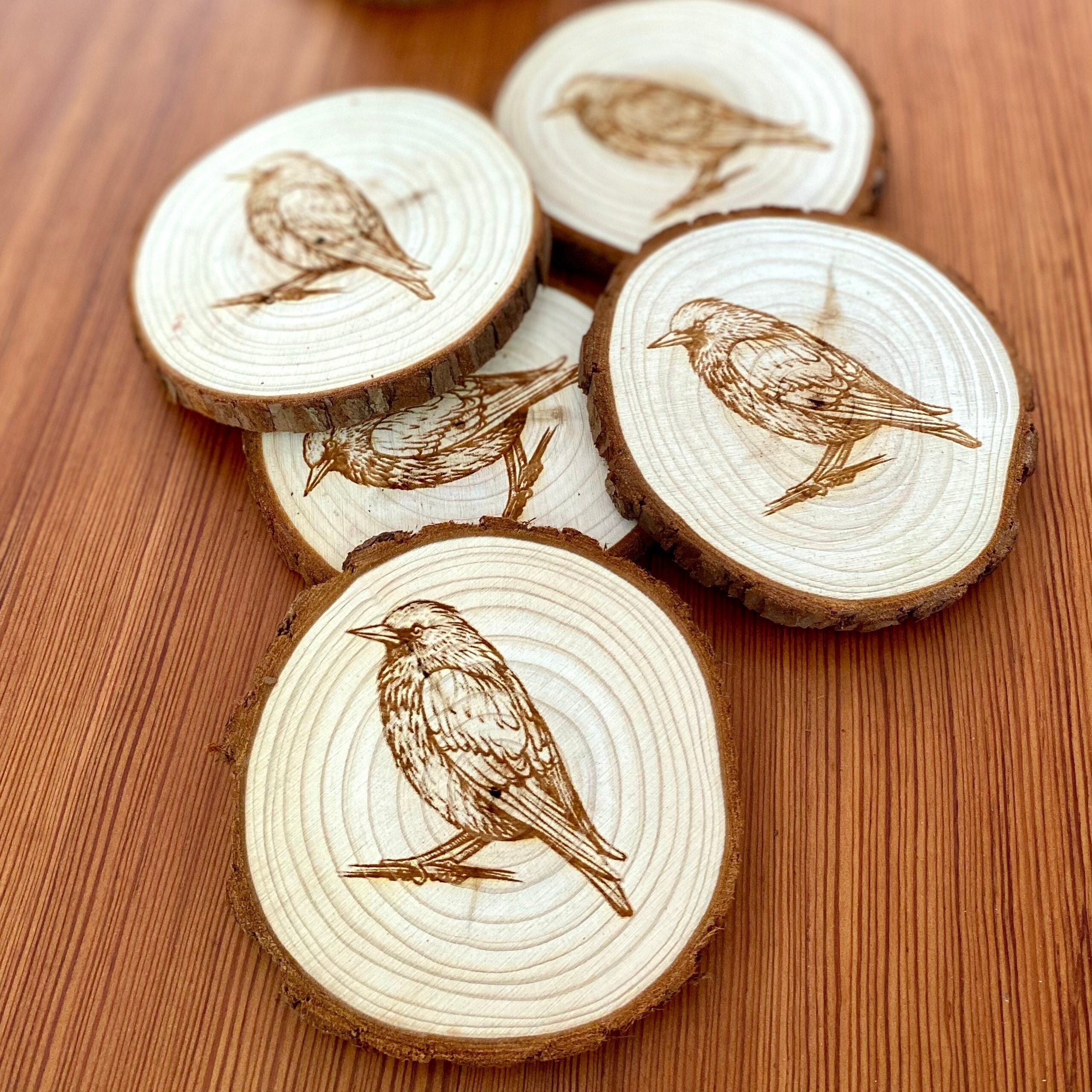 A set of four laser engraved wood coasters featuring starling bird illustrations, showcasing their natural wood finish and intricate designs.