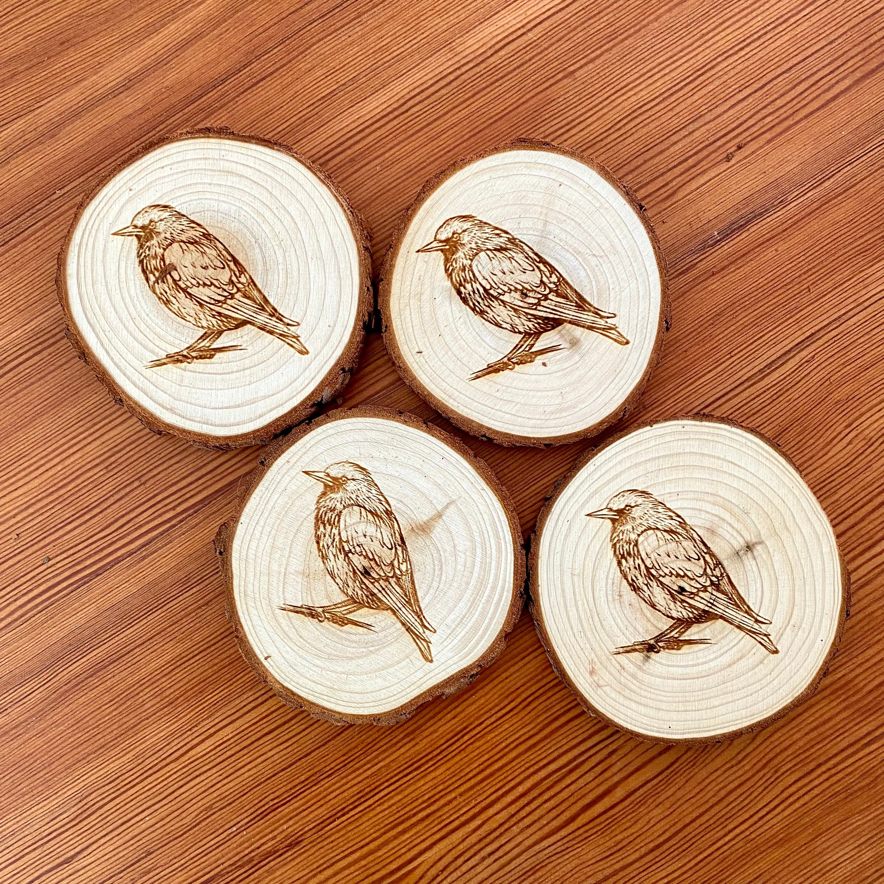 A set of four laser engraved wood coasters featuring starling bird illustrations, showcasing their natural wood finish and intricate designs.