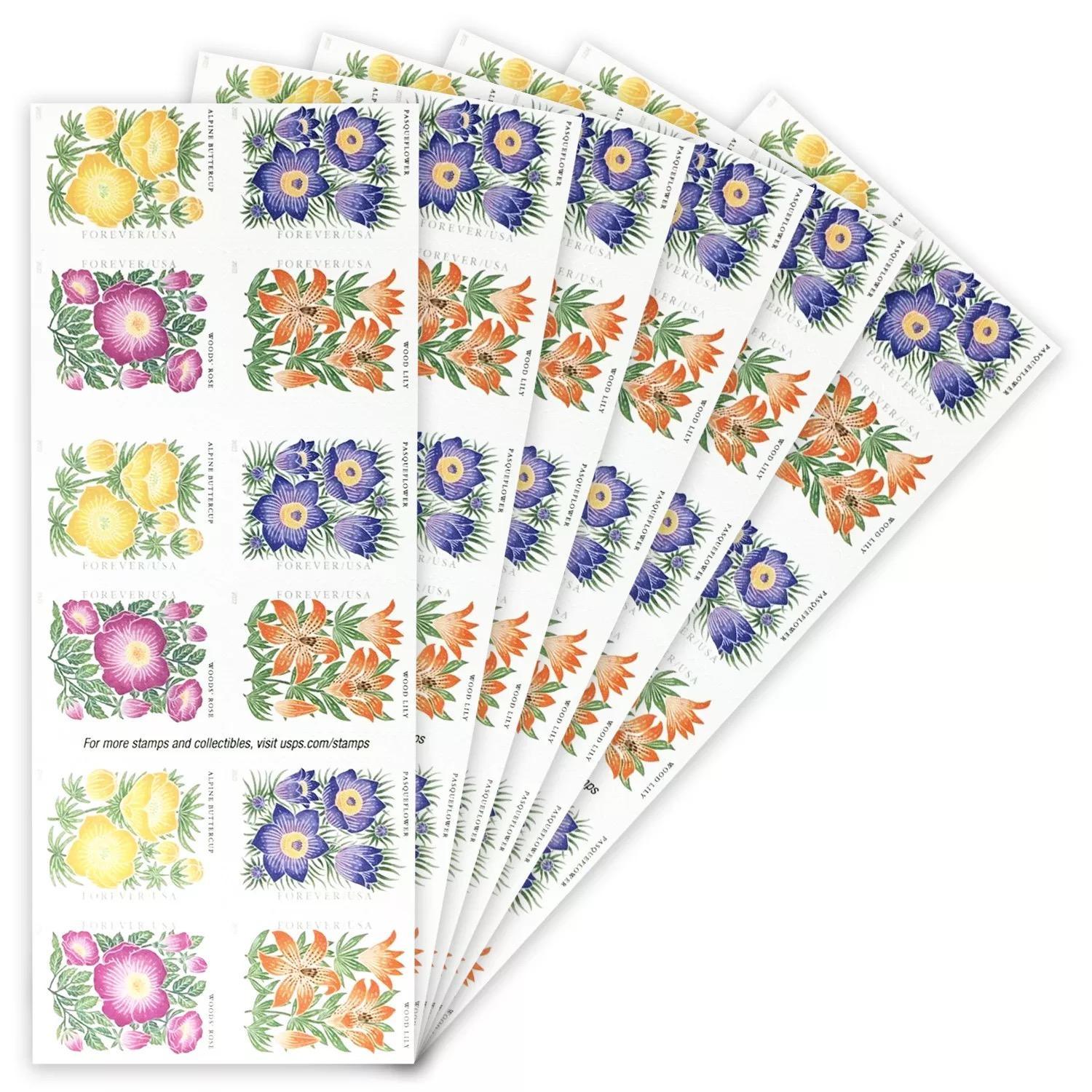 Mountain Flora 2022 collection featuring 5 booklets with 100 unique plant illustrations.