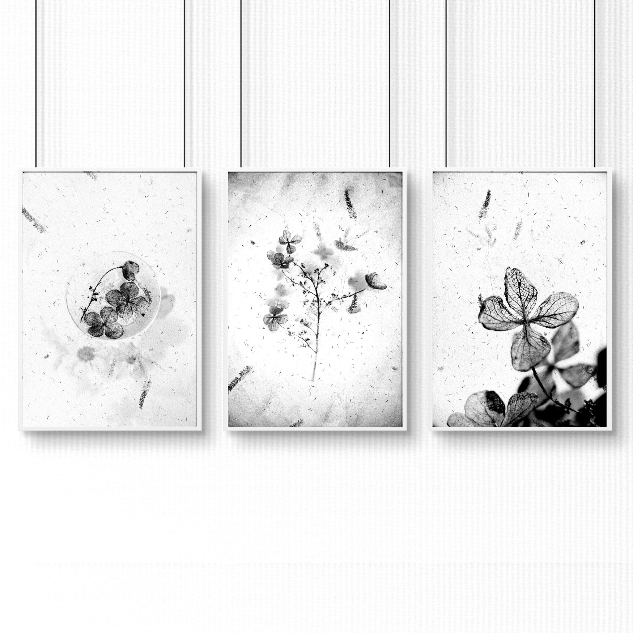 Set of 3 modern botanical wall art prints in grey, white, and black, designed for bathroom decor.