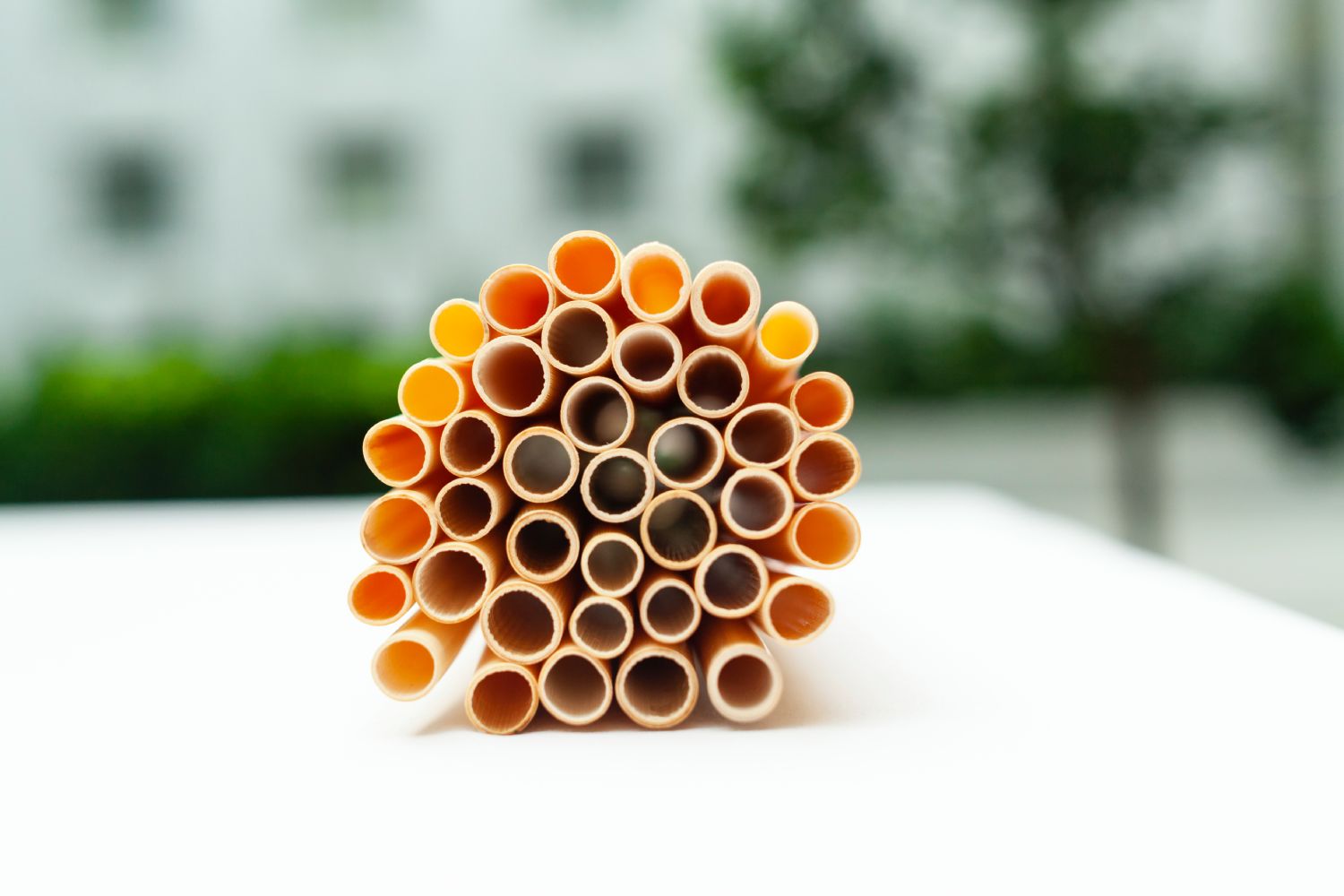 REED STRAWS XL - EXTRA LARGE made from natural reed, perfect for bubble tea and other beverages, showcasing their eco-friendly design.