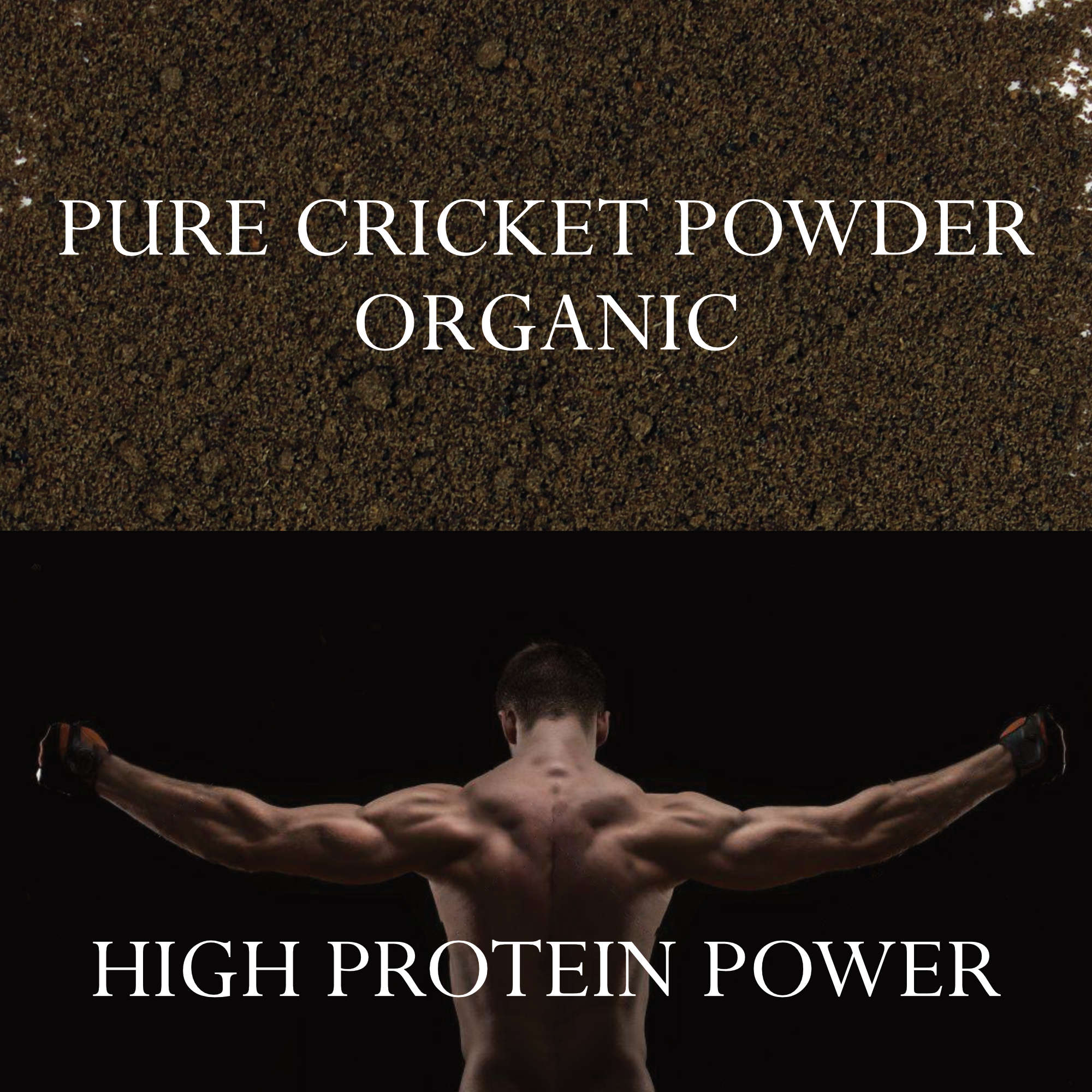 A bag of organic cricket powder, showcasing its fine texture and packaging, ideal for high protein diets.