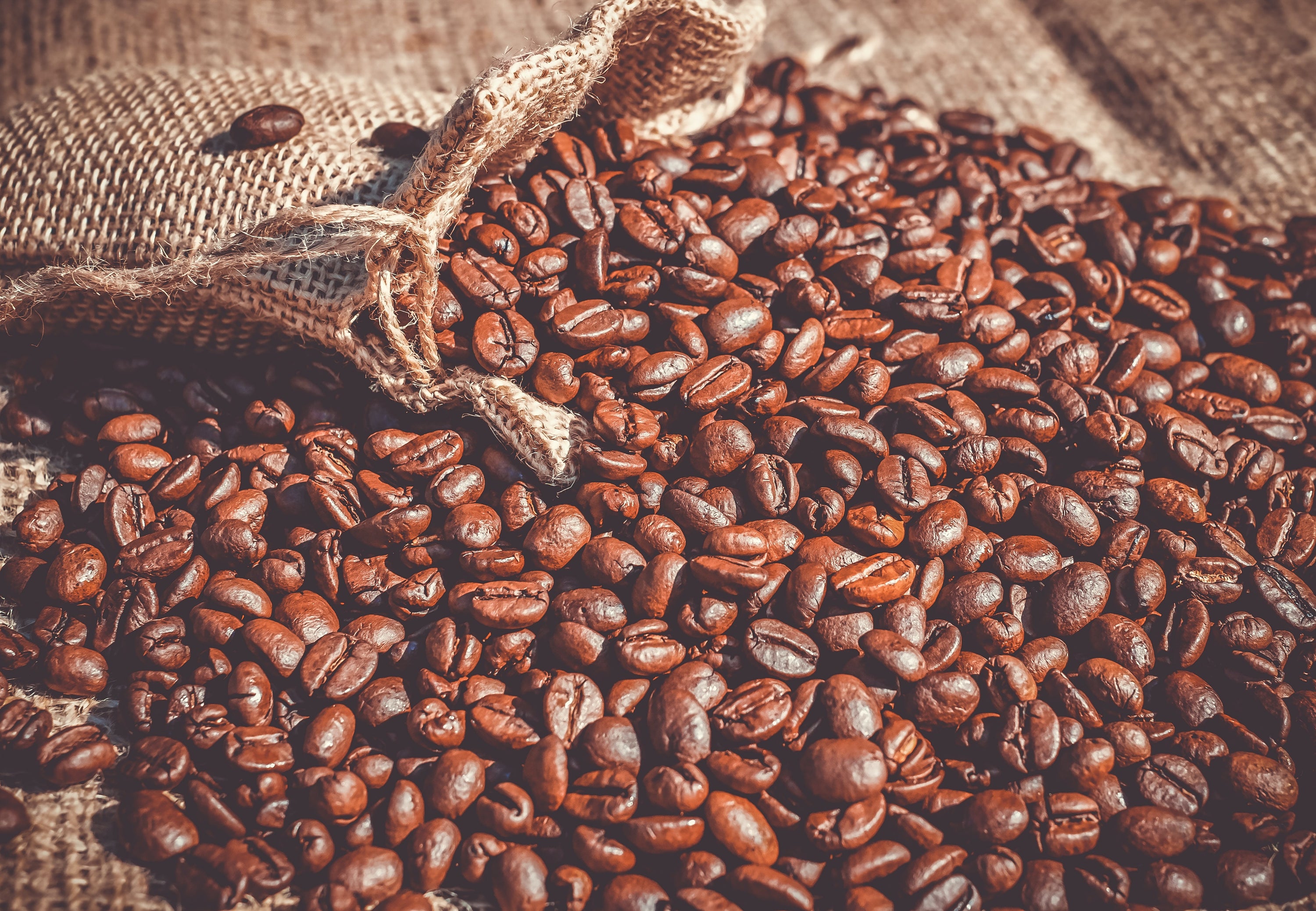 A bag of Vermont Maple Pecan flavored coffee showcasing its rich, aromatic blend of maple syrup and pecans.