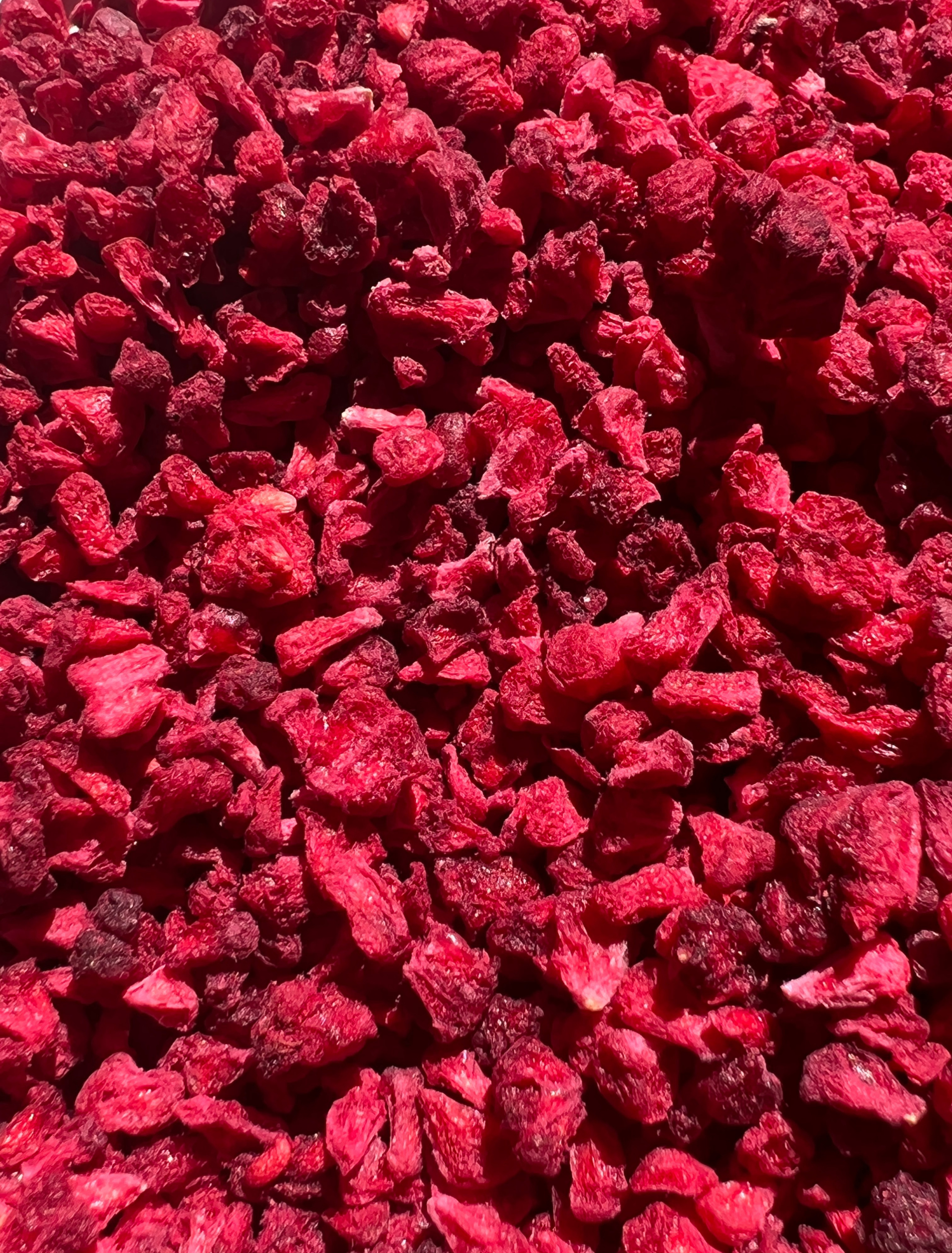 A bowl of vibrant freeze dried raspberry grits, showcasing their rich color and texture, perfect for culinary use.