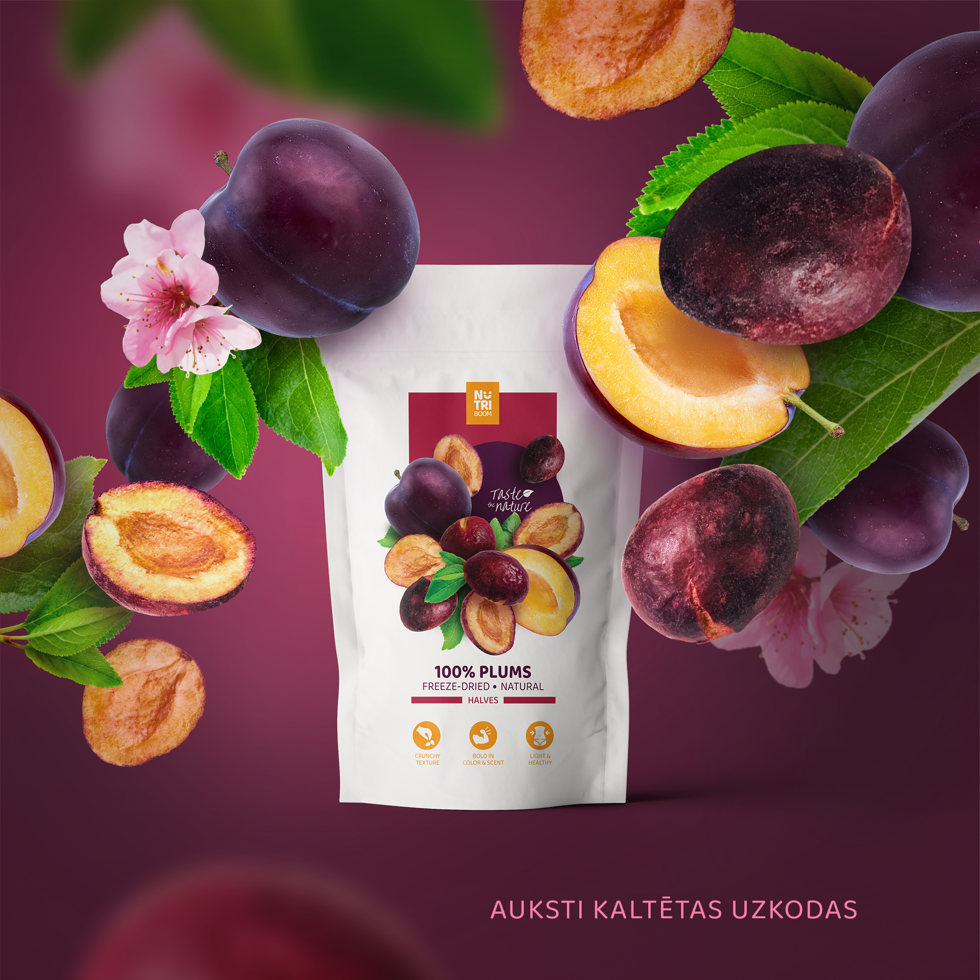 A bowl of freeze-dried plums showcasing their vibrant color and texture, perfect for healthy snacking.