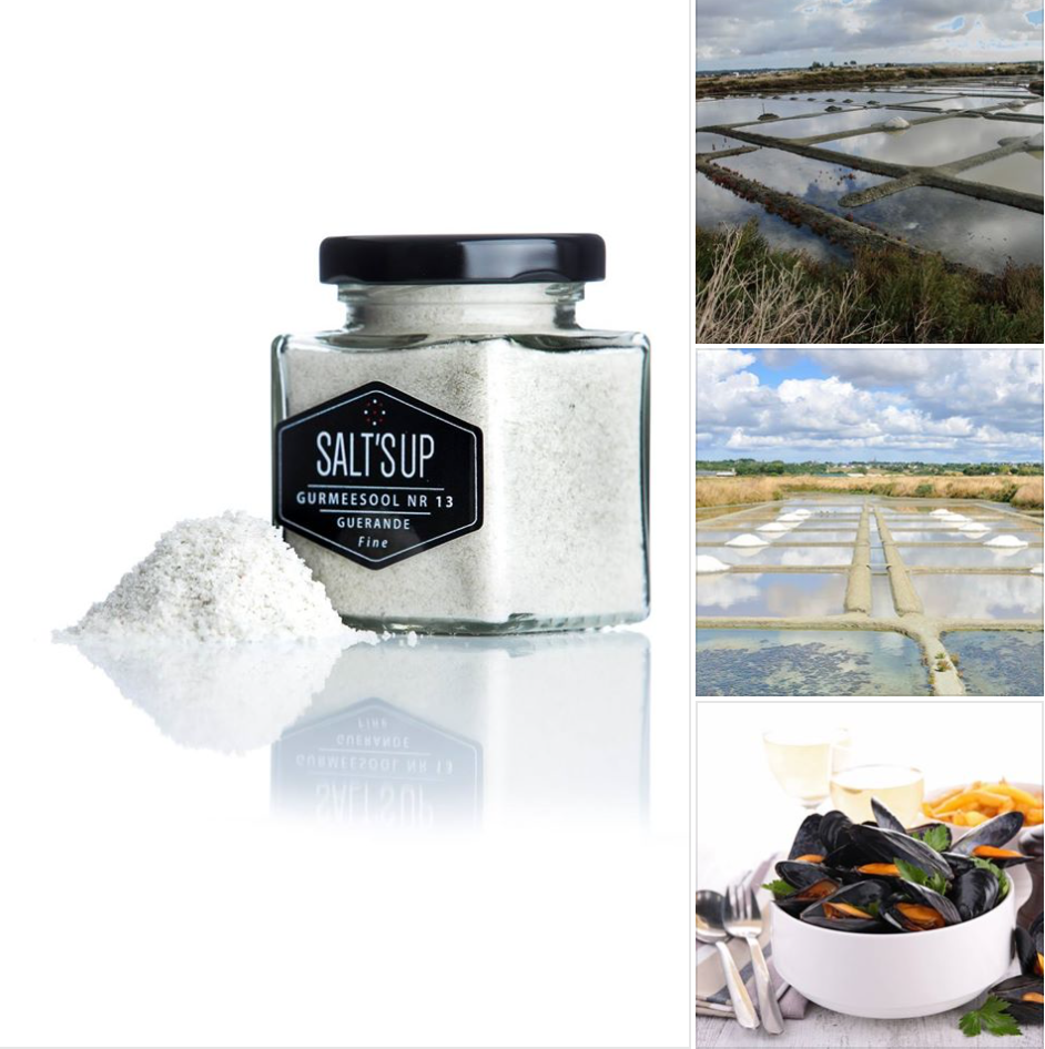 GUERANDE fine ecopack salt in a stylish package, showcasing its natural grey color and eco-friendly design.