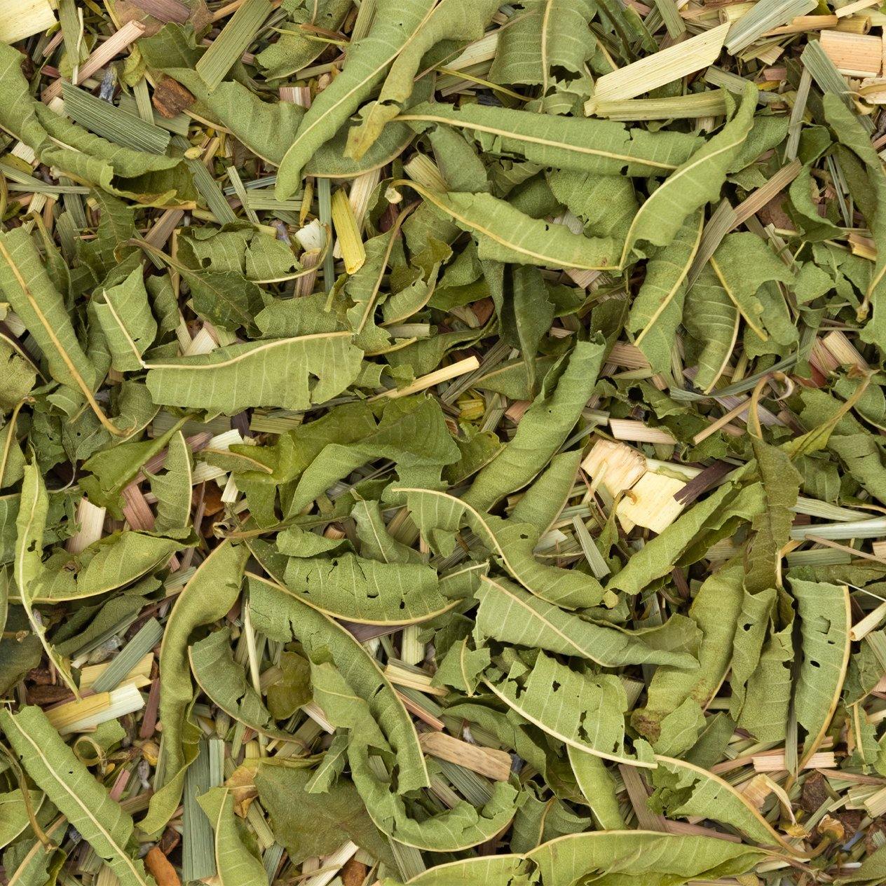 Tisane La Provençale avec romarin, thym et citron, évoquant la Provence avec ses arômes frais et herbacés.