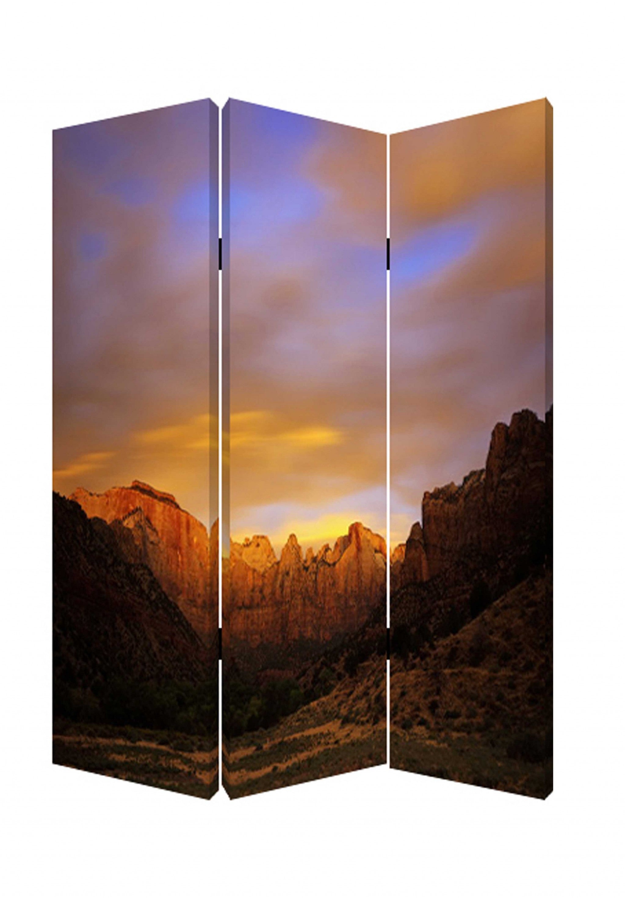 A vibrant three-panel screen featuring multi-color canvas prints, designed to enhance room decor and provide privacy.