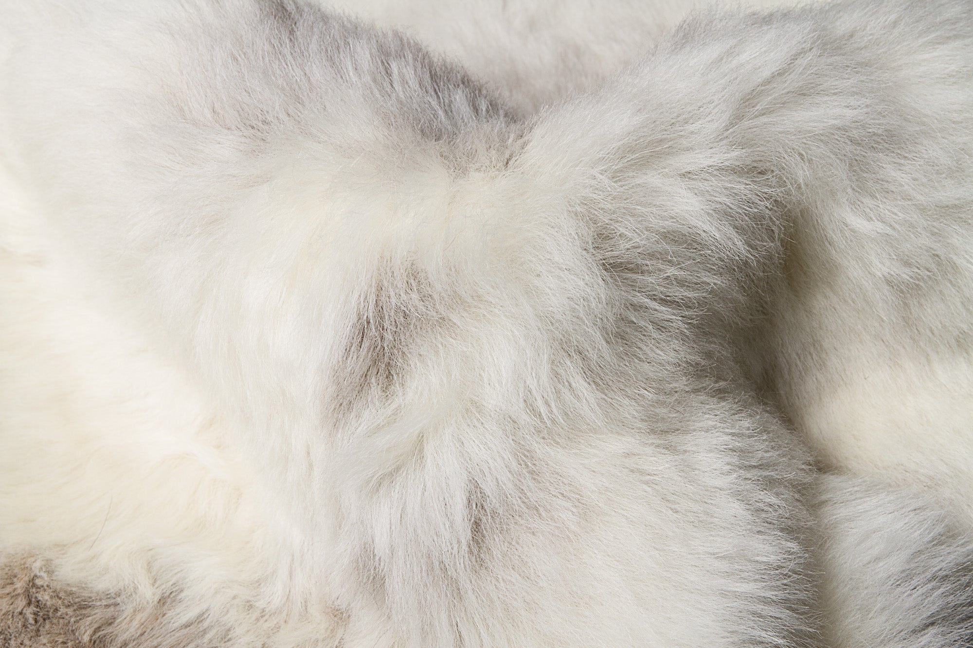 A luxurious spotted sheepskin single area rug measuring 24x36 inches, showcasing its soft texture and contemporary design.