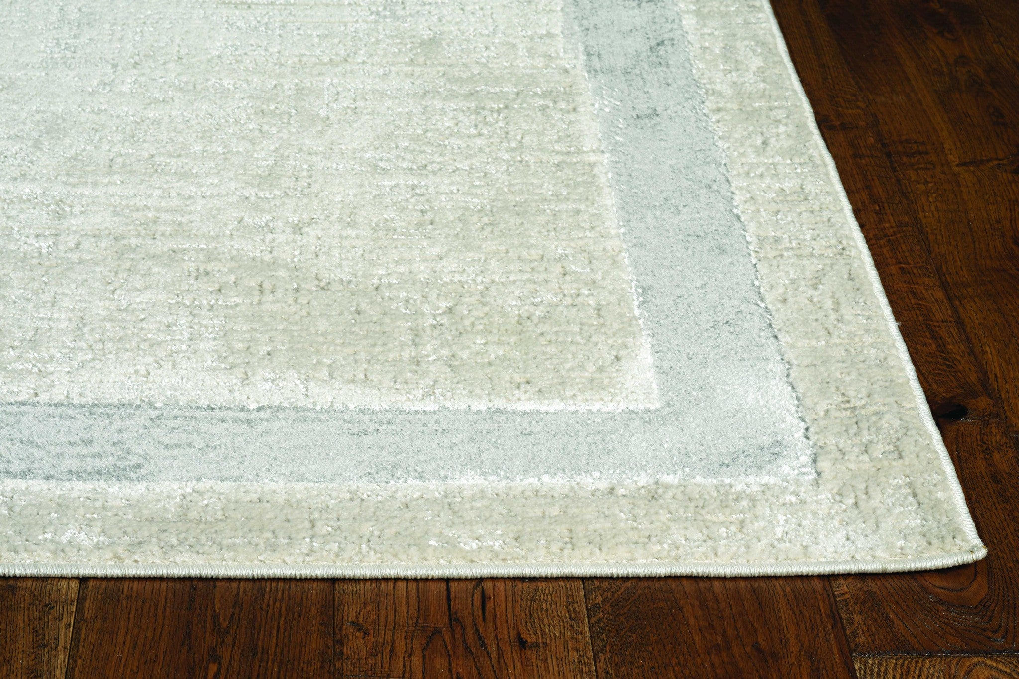 3x5 inches ivory silver machine woven bordered indoor area rug with a contemporary design, showcasing soft textures and metallic highlights.