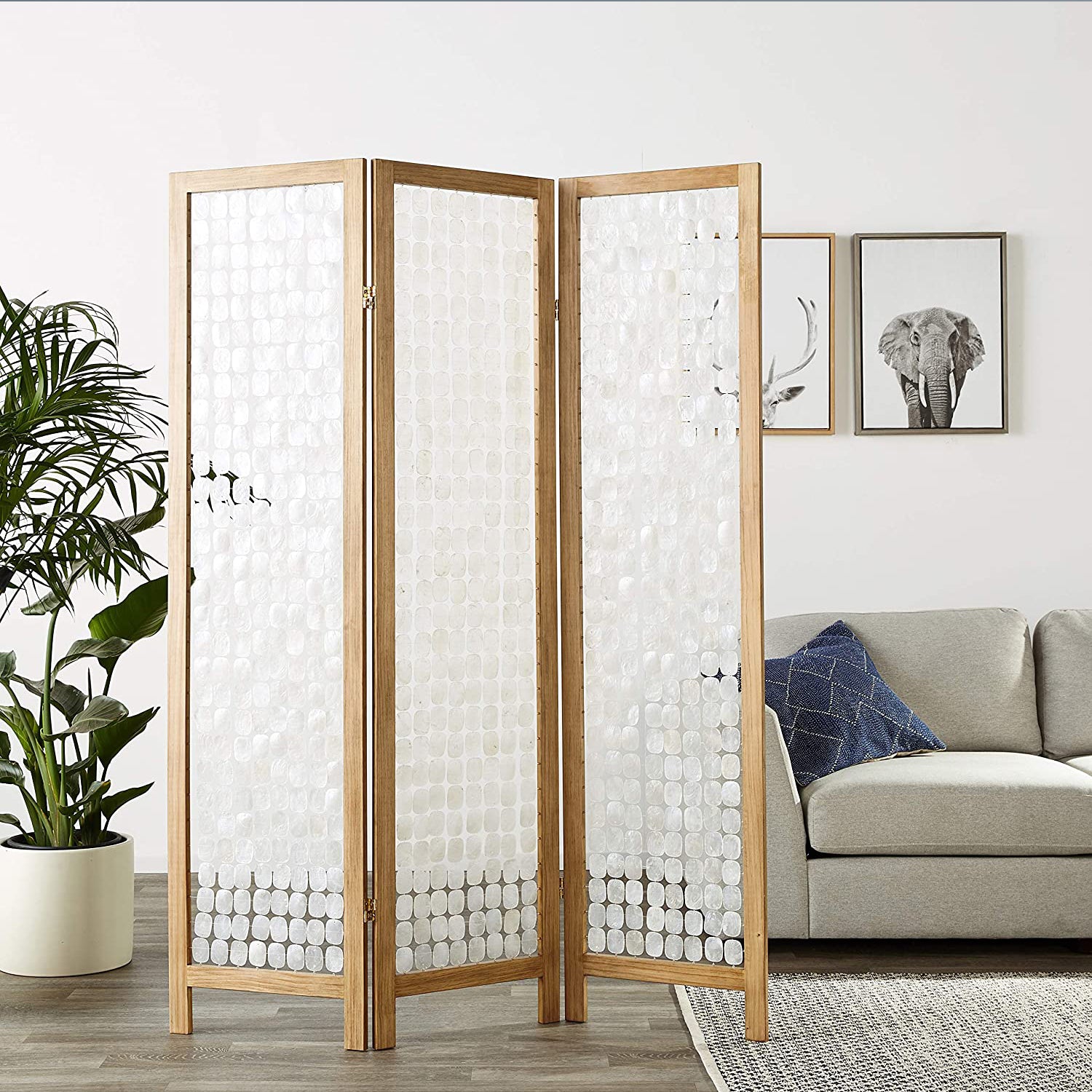 A beautifully handcrafted 54 x 1.5 x 71 Clear Capiz Shell Screen with a sturdy mango hardwood frame and elegant clear shell design.