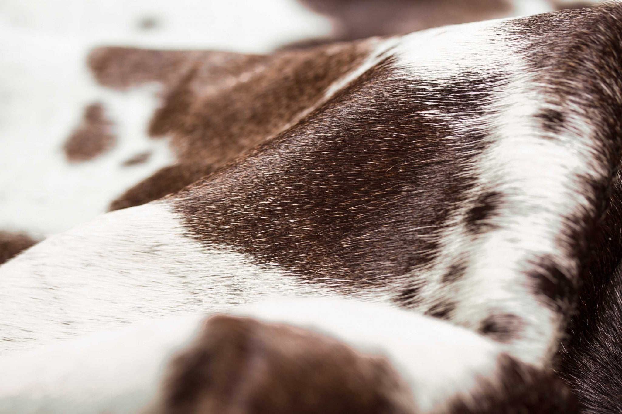 72x84 inches brown white cowhide rug showcasing unique patterns and soft texture, perfect for enhancing home decor.