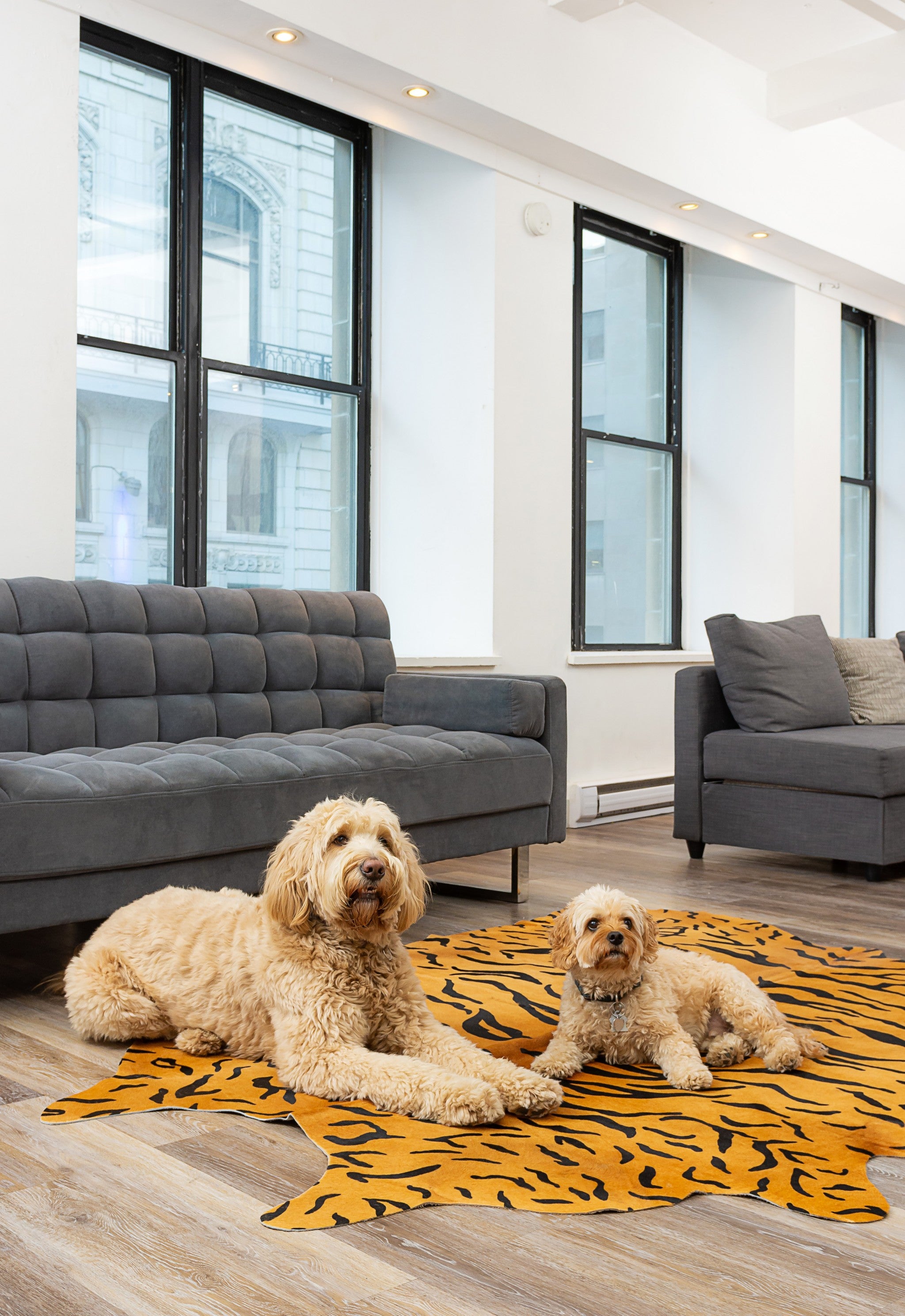 Luxurious 72x84 Tiger Chocolate Natural Cowhide Rug showcasing rich colors and unique patterns, perfect for enhancing home decor.