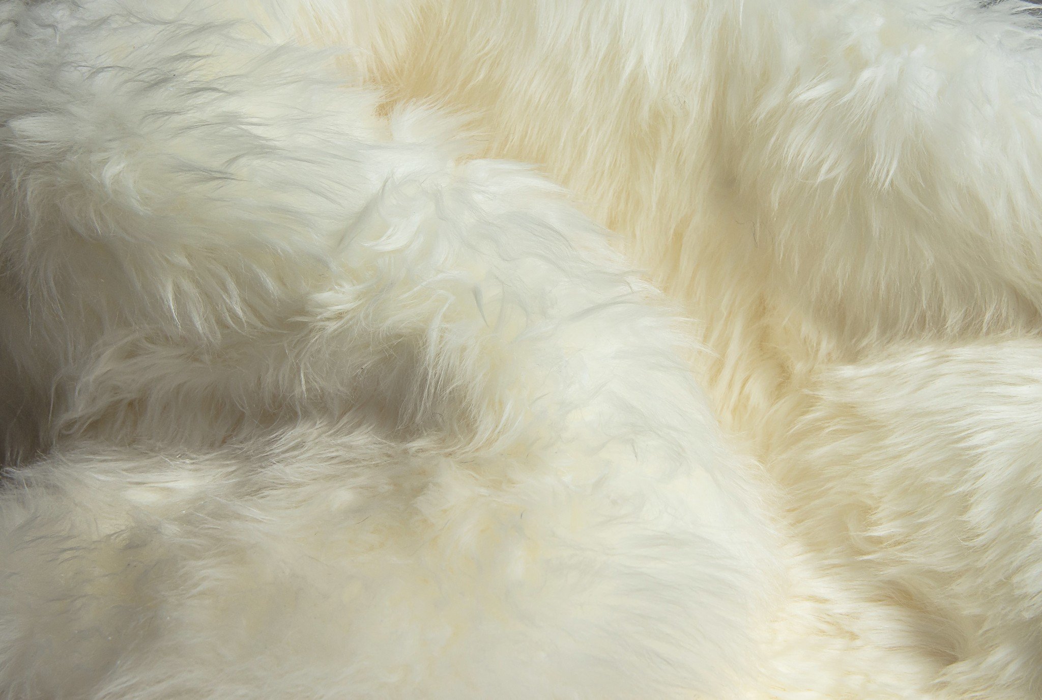 Natural White New Zealand Sheepskin Area Rug showcasing its luxurious softness and plush texture, perfect for enhancing home decor.