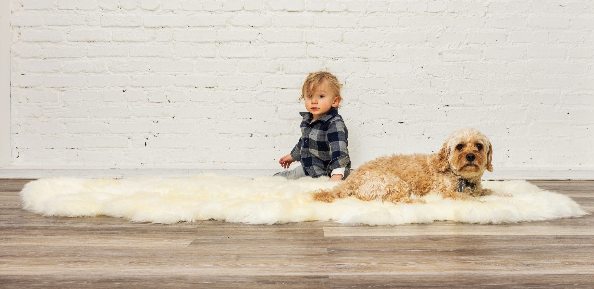 Natural White New Zealand Sheepskin Area Rug showcasing its luxurious softness and plush texture, perfect for enhancing home decor.