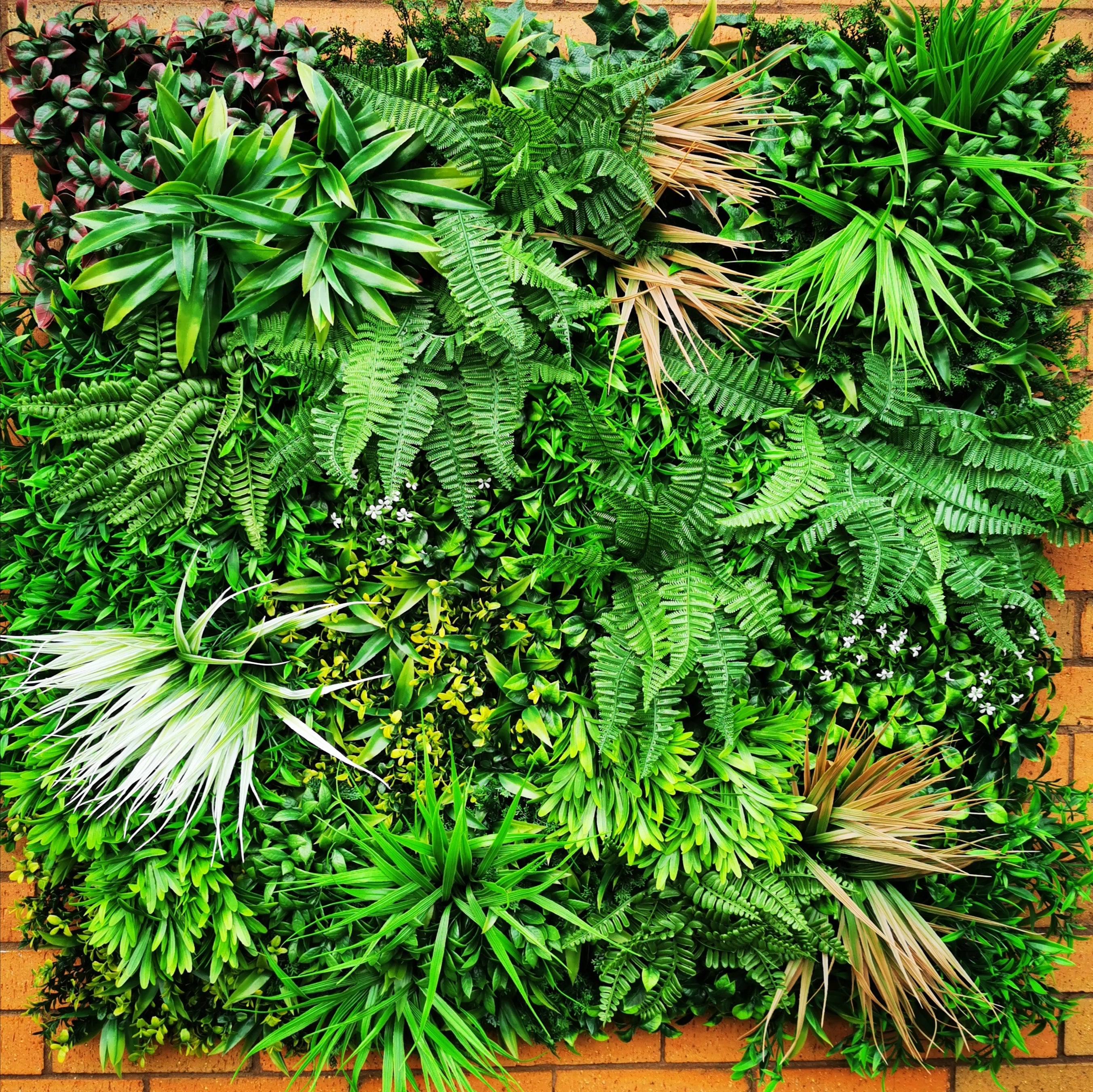 Artificial Deluxe Green Wall featuring lush tropical foliage, 100x100cm size, perfect for enhancing indoor and outdoor spaces.