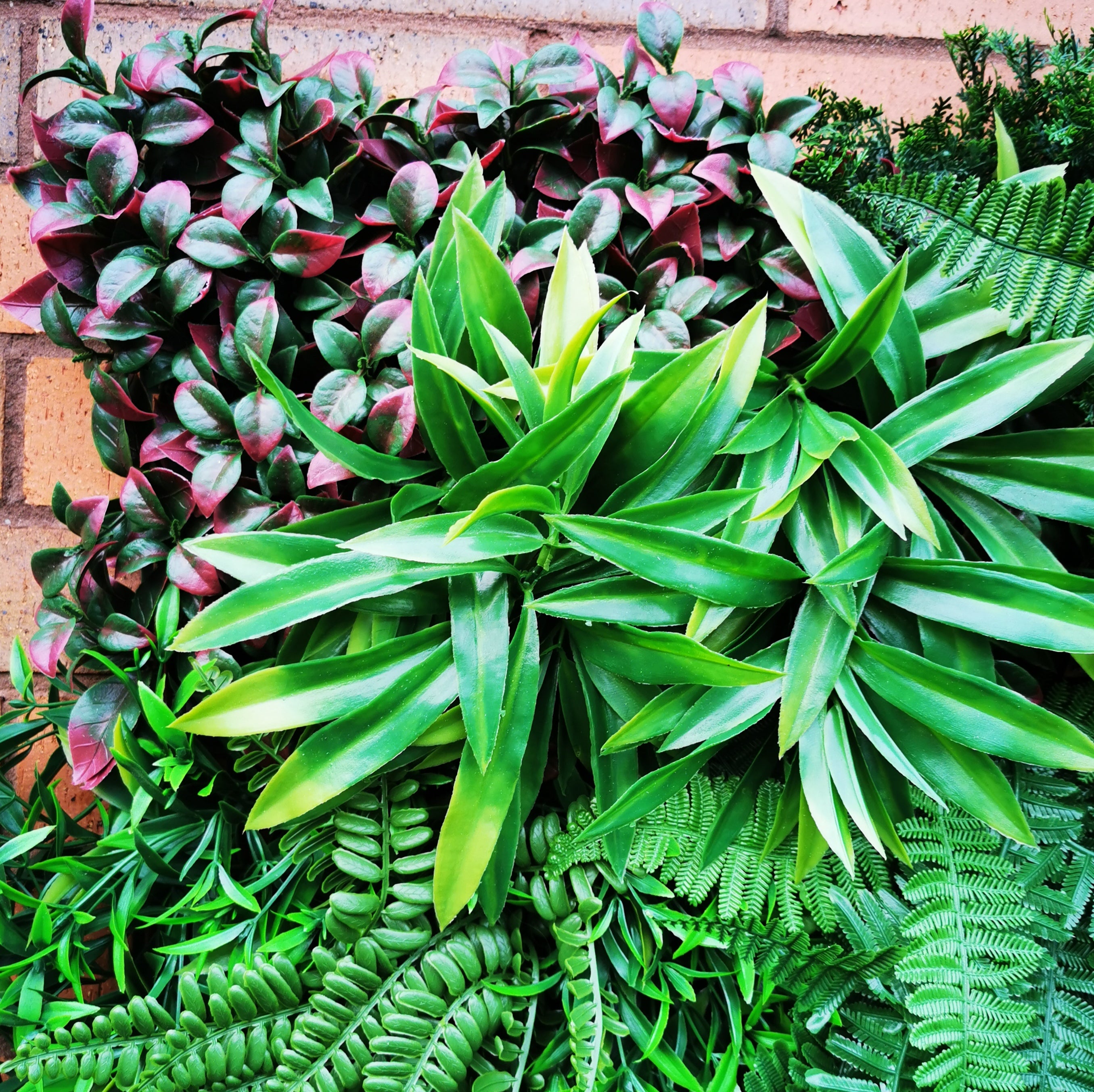 Artificial Deluxe Green Wall featuring lush tropical foliage, 100x100cm size, perfect for enhancing indoor and outdoor spaces.