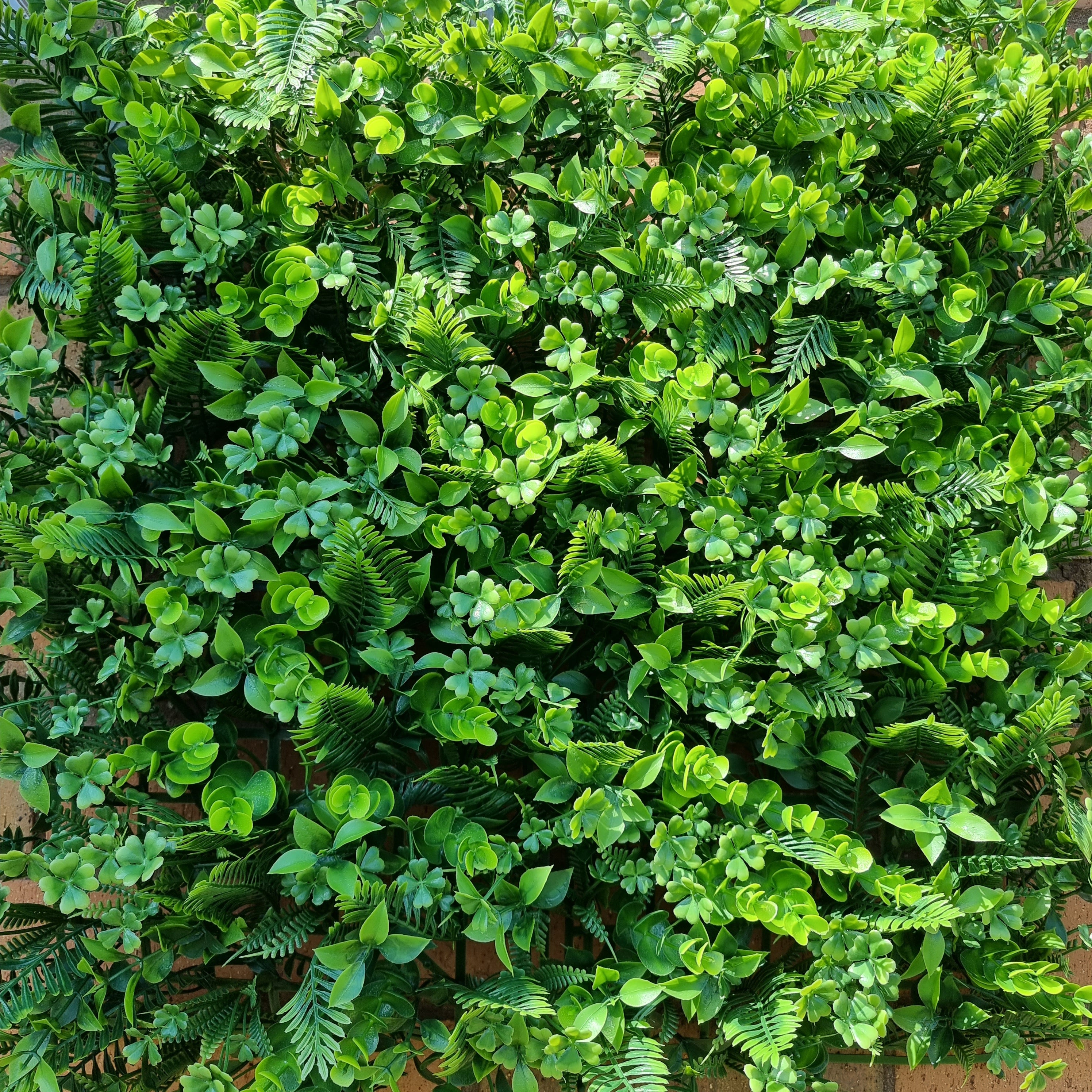 Artificial Tropical Hedge Panel 50x50cm with lush green foliage, designed for realistic appearance and outdoor durability.