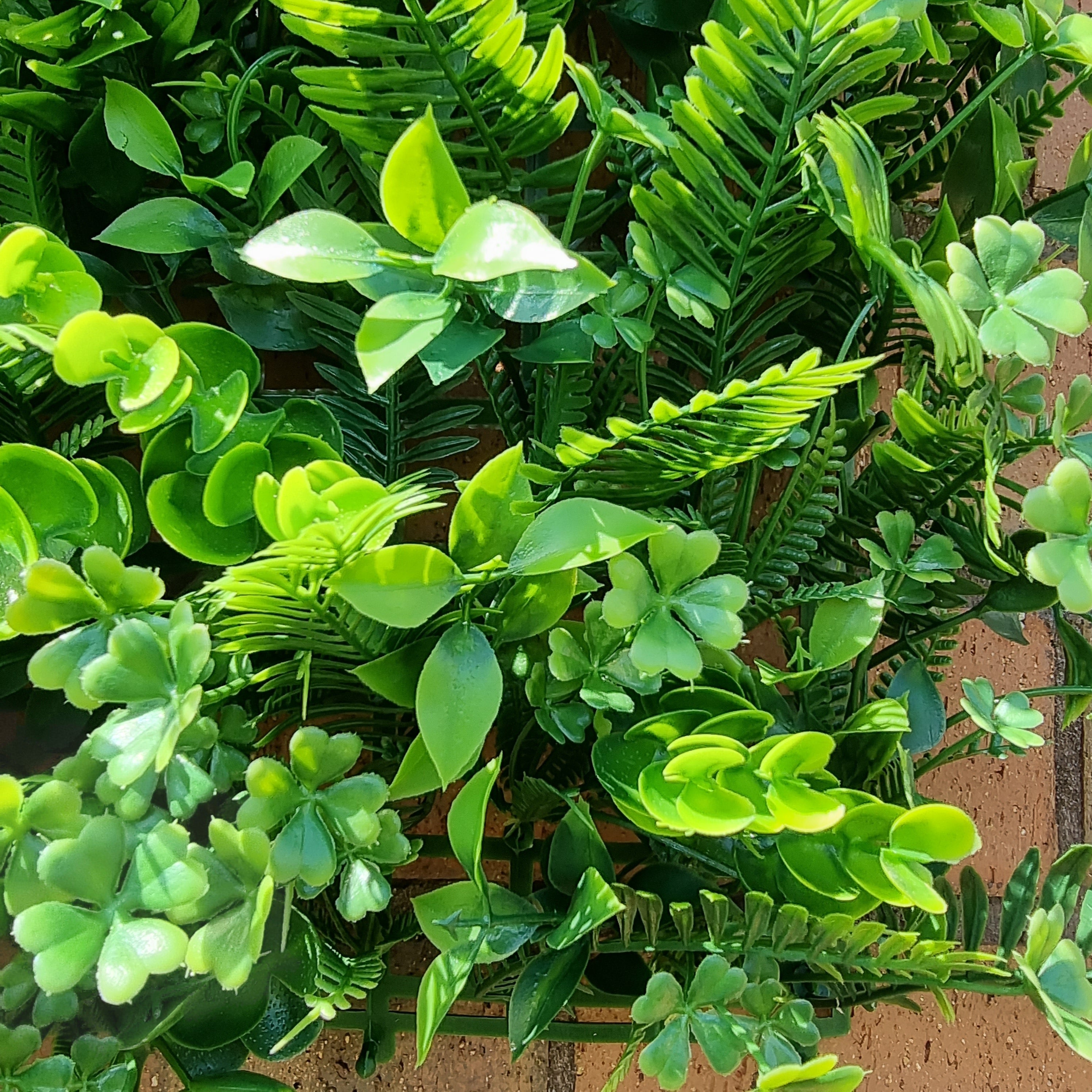 Artificial Tropical Hedge Panel 50x50cm with lush green foliage, designed for realistic appearance and outdoor durability.