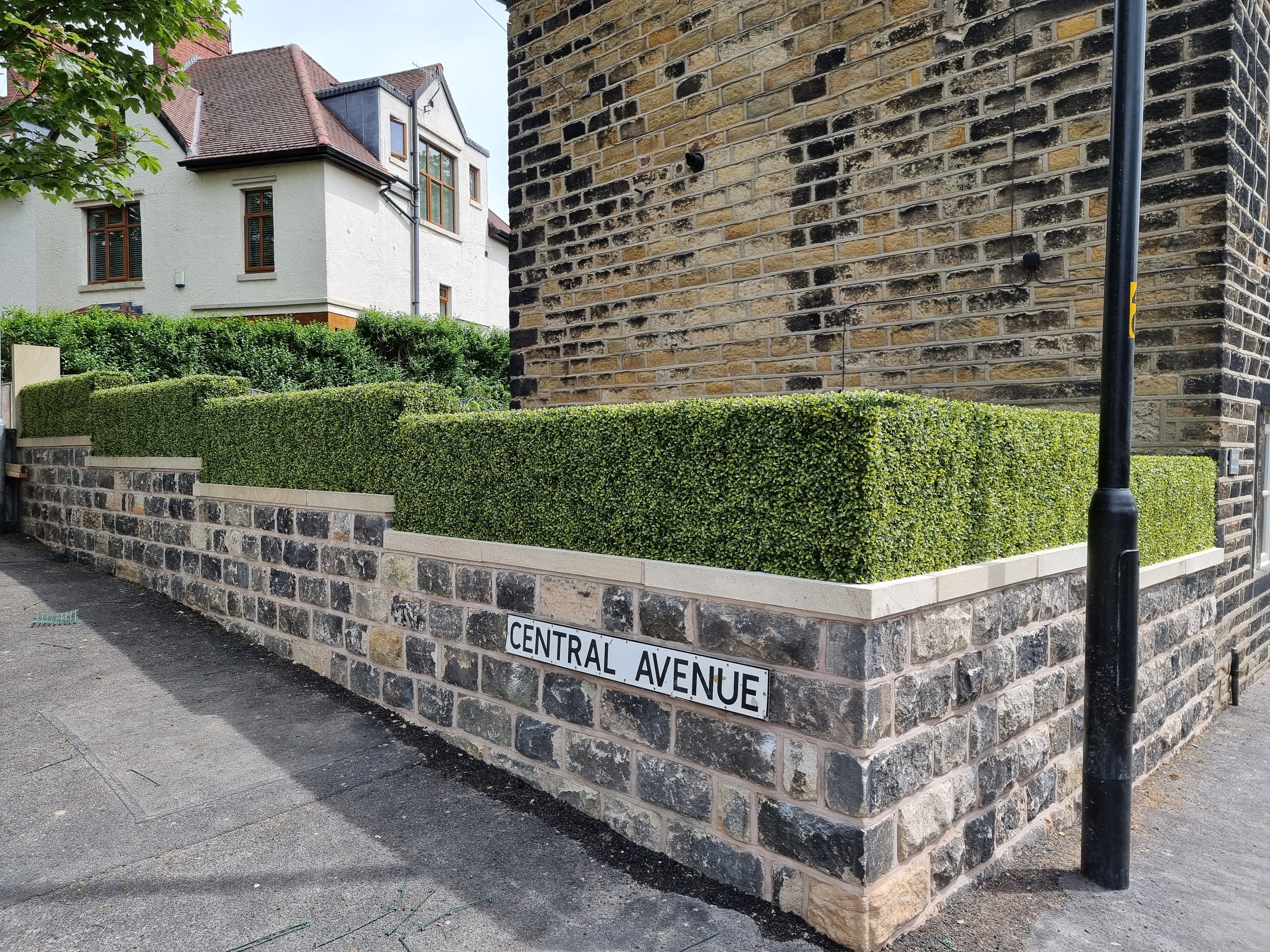 Artificial Tropical Hedge Panel 50x50cm with lush green foliage, designed for realistic appearance and outdoor durability.