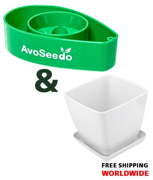 AvoSeedo Plant Pot Set featuring AvoSeedo, plant pot, and saucer, designed for germinating avocado seeds.