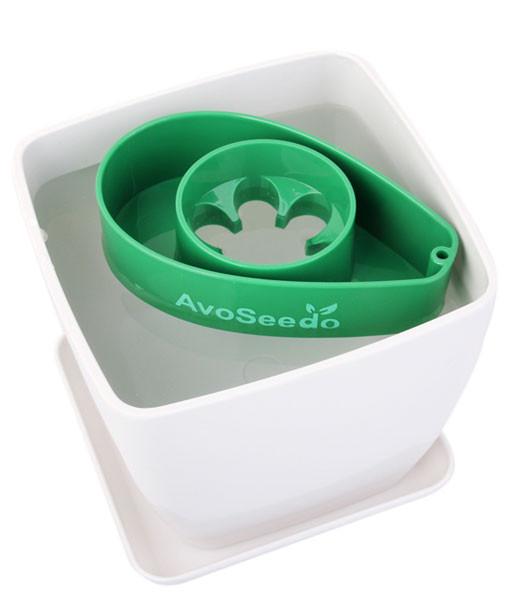 AvoSeedo Plant Pot Set featuring AvoSeedo, plant pot, and saucer, designed for germinating avocado seeds.