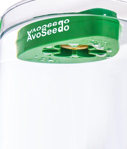 Green AvoSeedo floating in water.