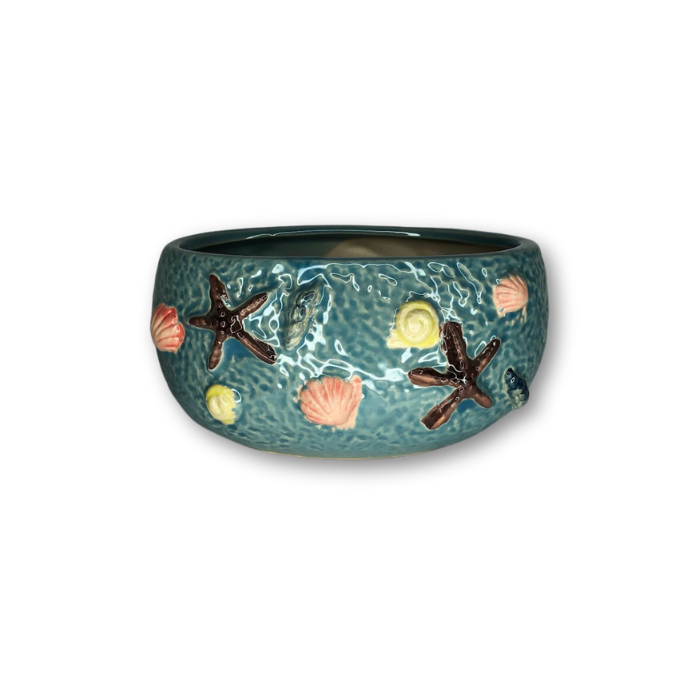 Blue oval pot featuring raised sea shell designs, perfect for small plants.