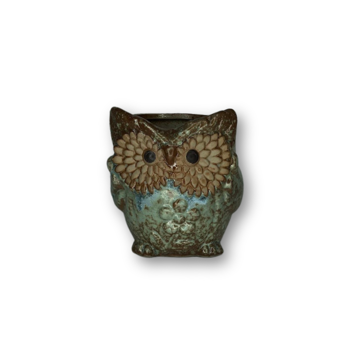 Blue Owl Flower Pot Style 2 featuring a cute owl design, perfect for small indoor plants.