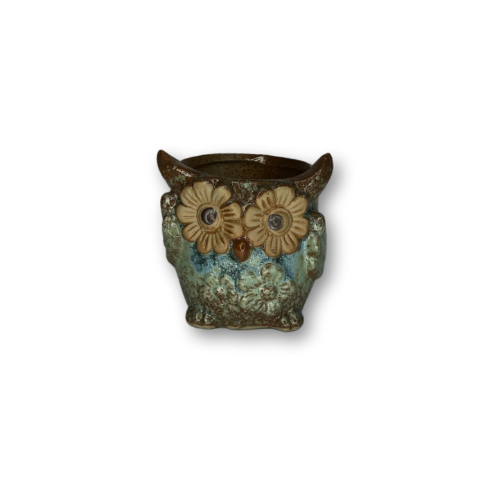 Blue Owl Flower Pot Style 6, featuring a charming owl design, perfect for small plants with a drainage hole.