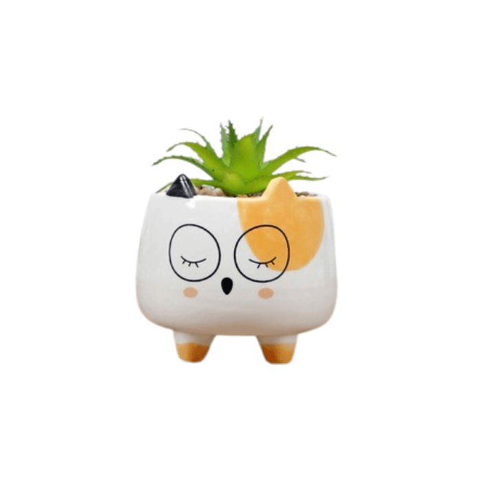 Ceramic Round Kitty Cat Succulent Plant Pot with a smooth glazed finish, featuring a cute cat design, perfect for indoor plants.