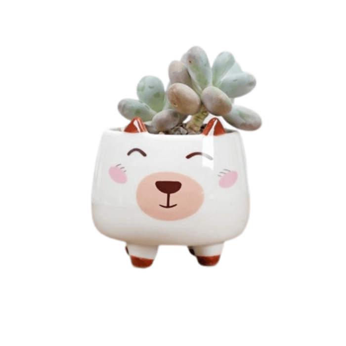 Ceramic round puppy dog succulent planter with a smooth glazed finish, featuring a cute design and drainage hole, perfect for indoor plants.