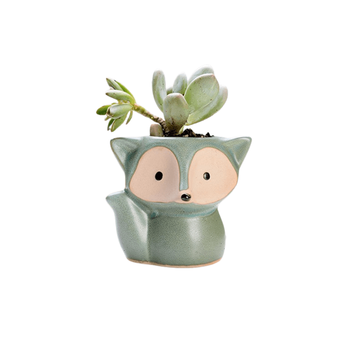 Green Fox Succulent Pot made of ceramic with a smooth glazed finish, featuring a cute fox design and drainage hole.