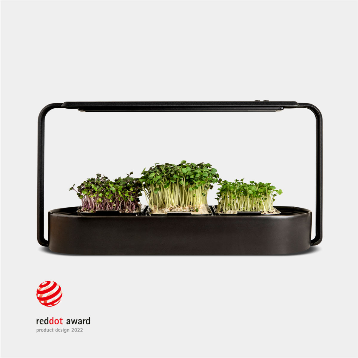 The ingarden bundle offer showcasing a stylish indoor microgreens growing system with vibrant green plants ready for harvest.