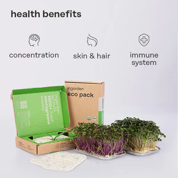 A vibrant display of Kale Superfood pads, showcasing their rich green color and healthy appearance, perfect for growing nutrient-dense greens at home.