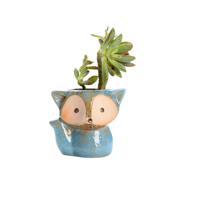 Light Blue Fox Succulent Pot with a smooth glazed finish, featuring a cute fox design, perfect for indoor plants.