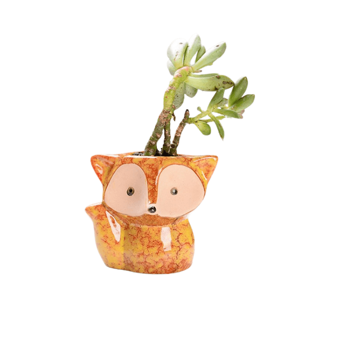 Orange Fox Succulent Pot made of ceramic with a glossy finish, featuring a cute fox design, perfect for indoor plants.