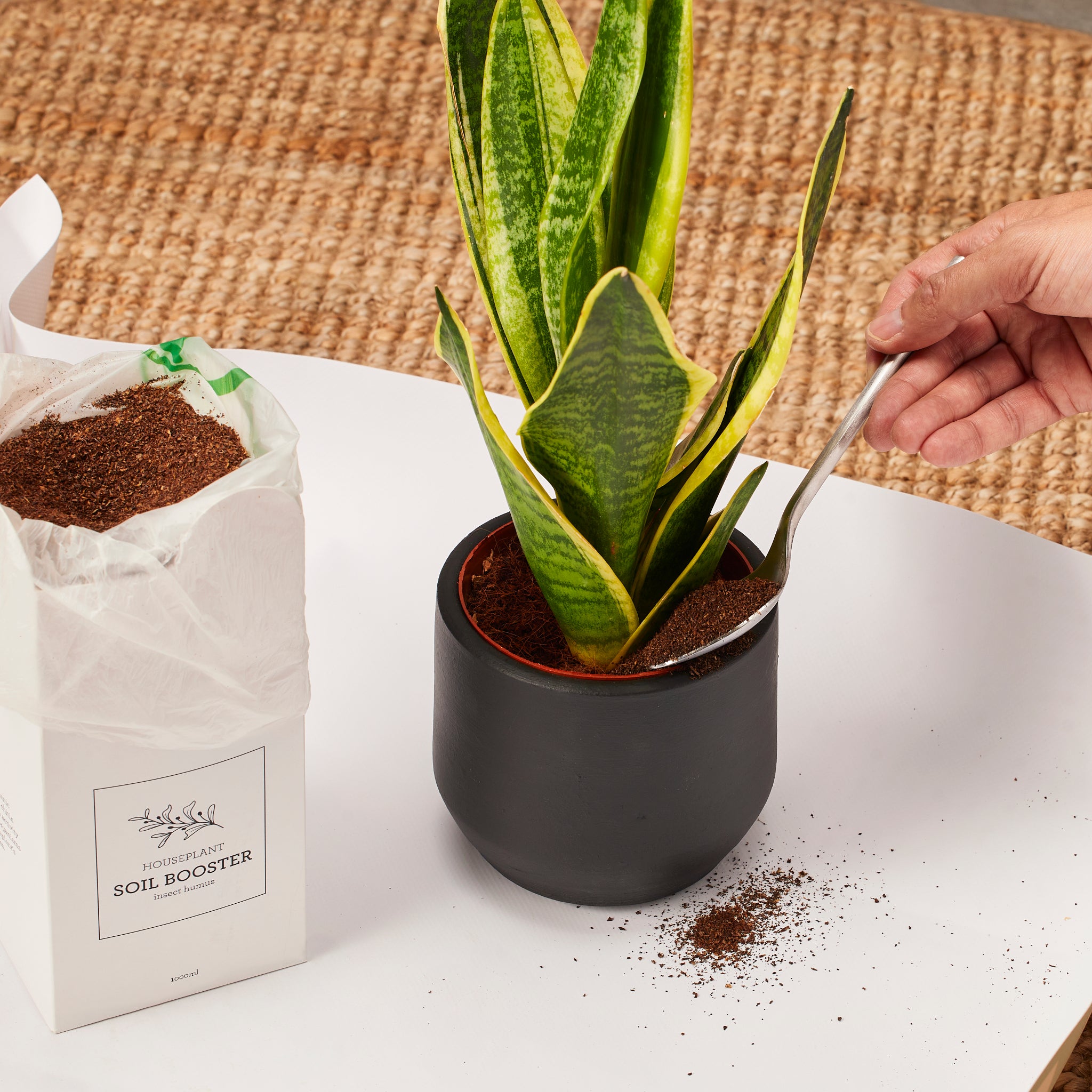 A bag of organic fertilizer featuring insect humus, designed for house plants, with a vibrant green plant in the background.