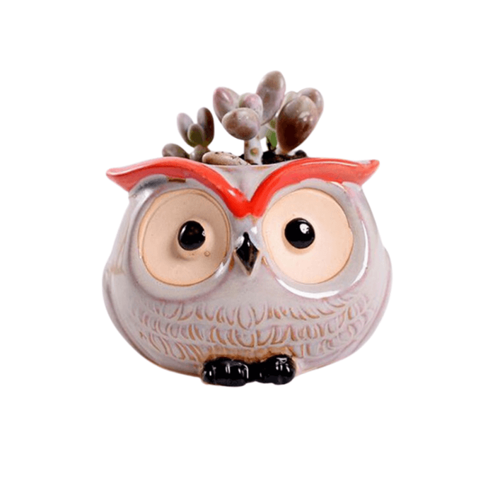 Owl Style 1 Succulent Planter Pot in beige ceramic with a cute owl design, featuring a drainage hole for plant care.