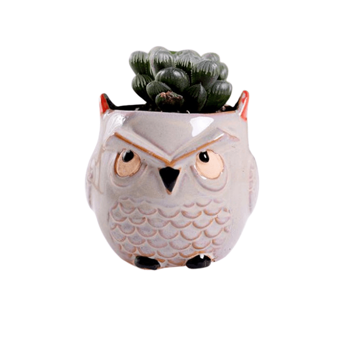 Owl Style 3 Succulent Planter Pot in beige ceramic with drainage hole, featuring a cute owl design, perfect for indoor plants.