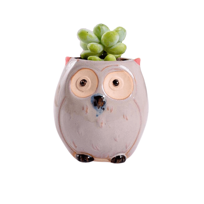 Owl Style 4 Succulent Planter Pot in beige ceramic with a smooth glazed finish, featuring a cute owl design and drainage hole.