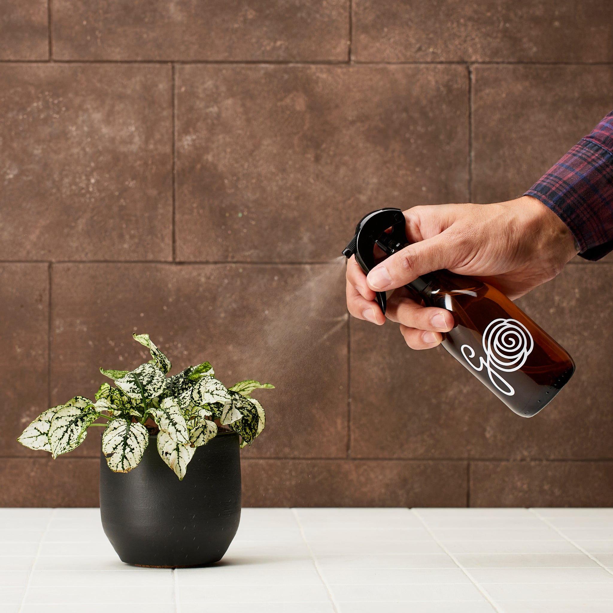 A stylish glass plant mister designed for watering and plant care, featuring a fine mist spray nozzle.