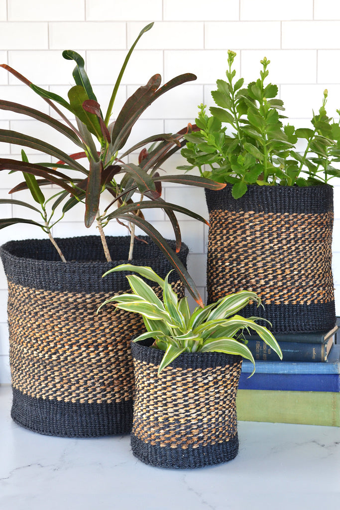 Set of three handwoven sisal and banana fiber baskets in varying sizes, showcasing natural colors and intricate patterns, perfect for storage and planters.