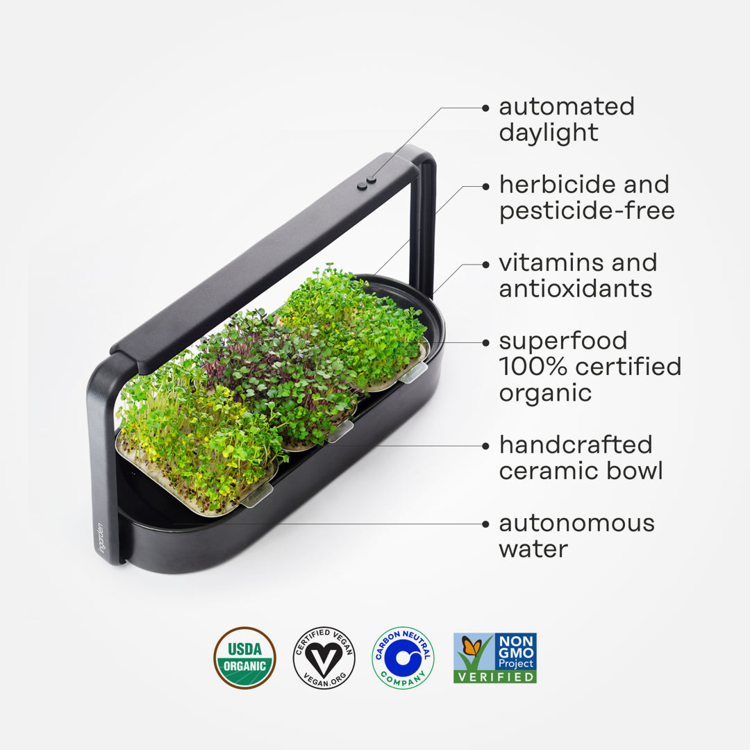 The ingarden bundle showcasing a sleek microgreens growing system with vibrant green sprouts ready for harvest.