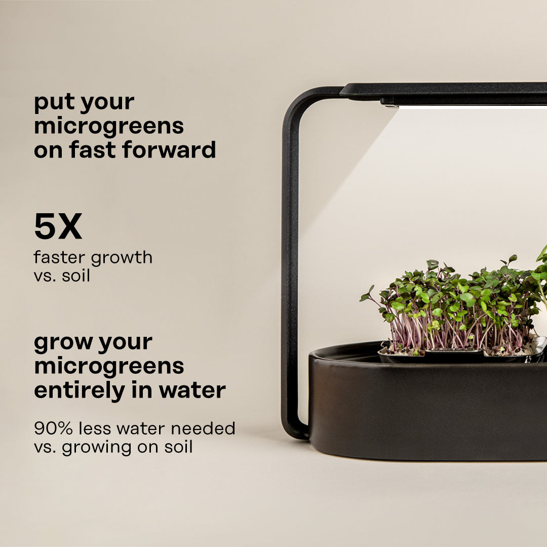 The ingarden bundle showcasing a sleek microgreens growing system with vibrant green sprouts ready for harvest.