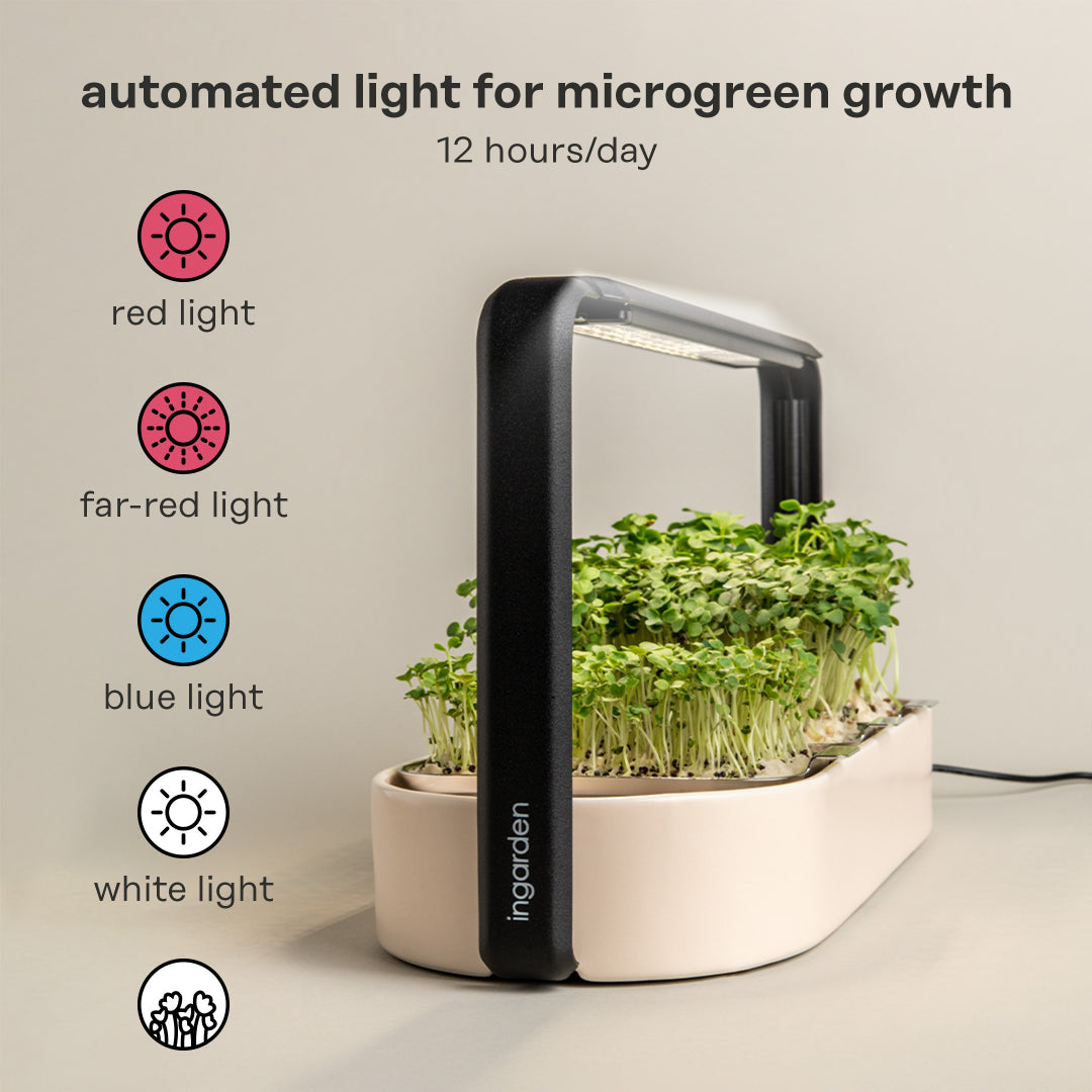 The ingarden bundle showcasing a sleek microgreens growing system with vibrant green sprouts ready for harvest.